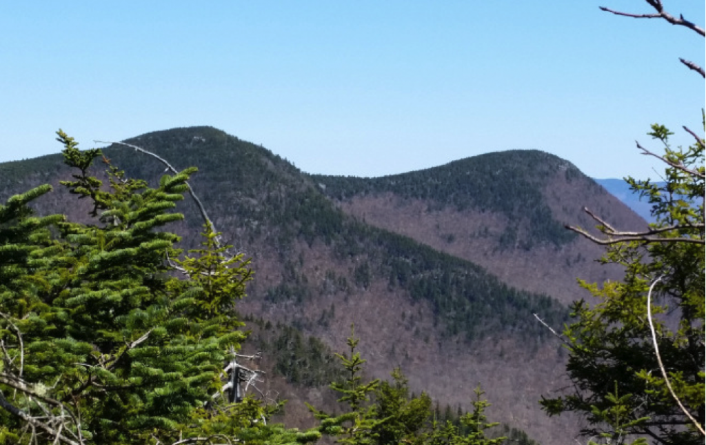 posner catskills